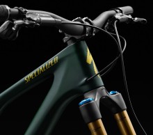 Specialized Stumpjumper 15: models and prices