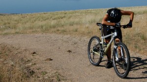 tipos-pajaras-ciclistas/