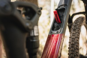Trek Top Fuel Gen 4: setups and prices