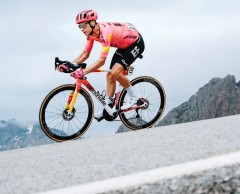 New POC Cytal Carbon: the best helmet from the brand