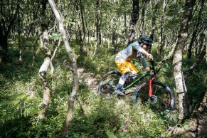 merida-big-trail-2021/