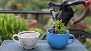 resetear-potenciar-cafeina/