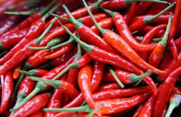 Insultos y picante para mejorar en ciclismo
