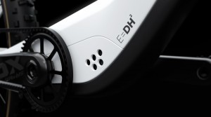 New e-Bike for DH from Gnarly bikes, a brand that does not exist