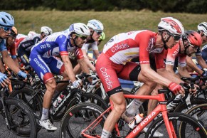 bicis-tour-francia-2020/