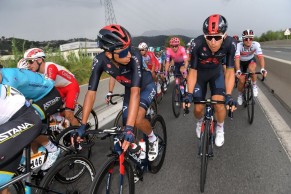 bicis-tour-francia-2020/