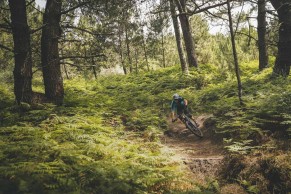 merida-e-one-sixty-shimano-ep8/