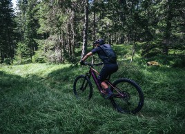 scott-contessa-2021/