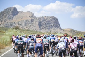 Wout van Aert, getting stronger every day, wins the 7th stage of La Vuelta 2024