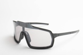 Electronics come to photochromic glasses