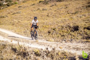 Topstone Carbon Lefty 3, a gravel bike different from all others