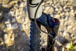 Topstone Carbon Lefty 3, a gravel bike different from all others