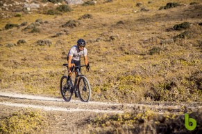 Topstone Carbon Lefty 3