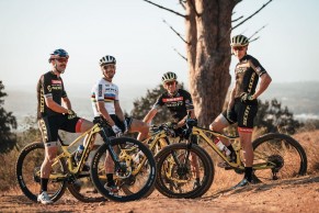 Scott Spark 2021: models and prices