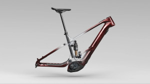 The Orbea Wild 2025 is completely renewed