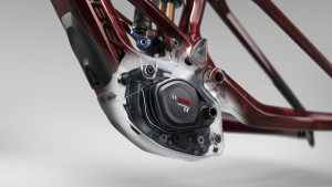 The Orbea Wild 2025 is completely renewed