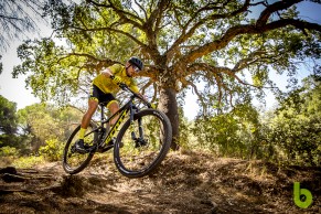 We tested the new Scott Spark 900 RC COMP, a world champion for just over 3.000€