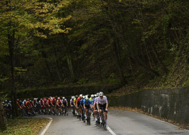 Tadej Pogacar wins Il Lombardia 2024
