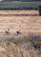 fumic-2020-avancini-renueva/