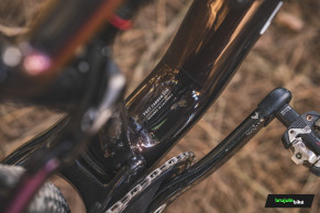 We tested the Specialized Epic 8: the XC bike that everyone is talking about in 2024