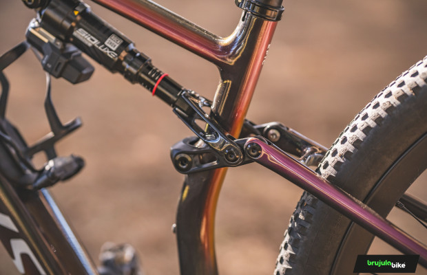 Specialized surprises with its free lifetime bearing replacement program