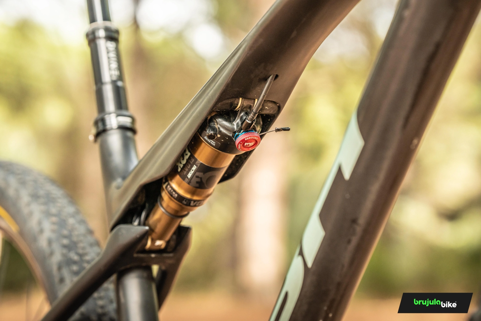 We thoroughly tested the BH Lynx SLS: much more than a competition XC bike