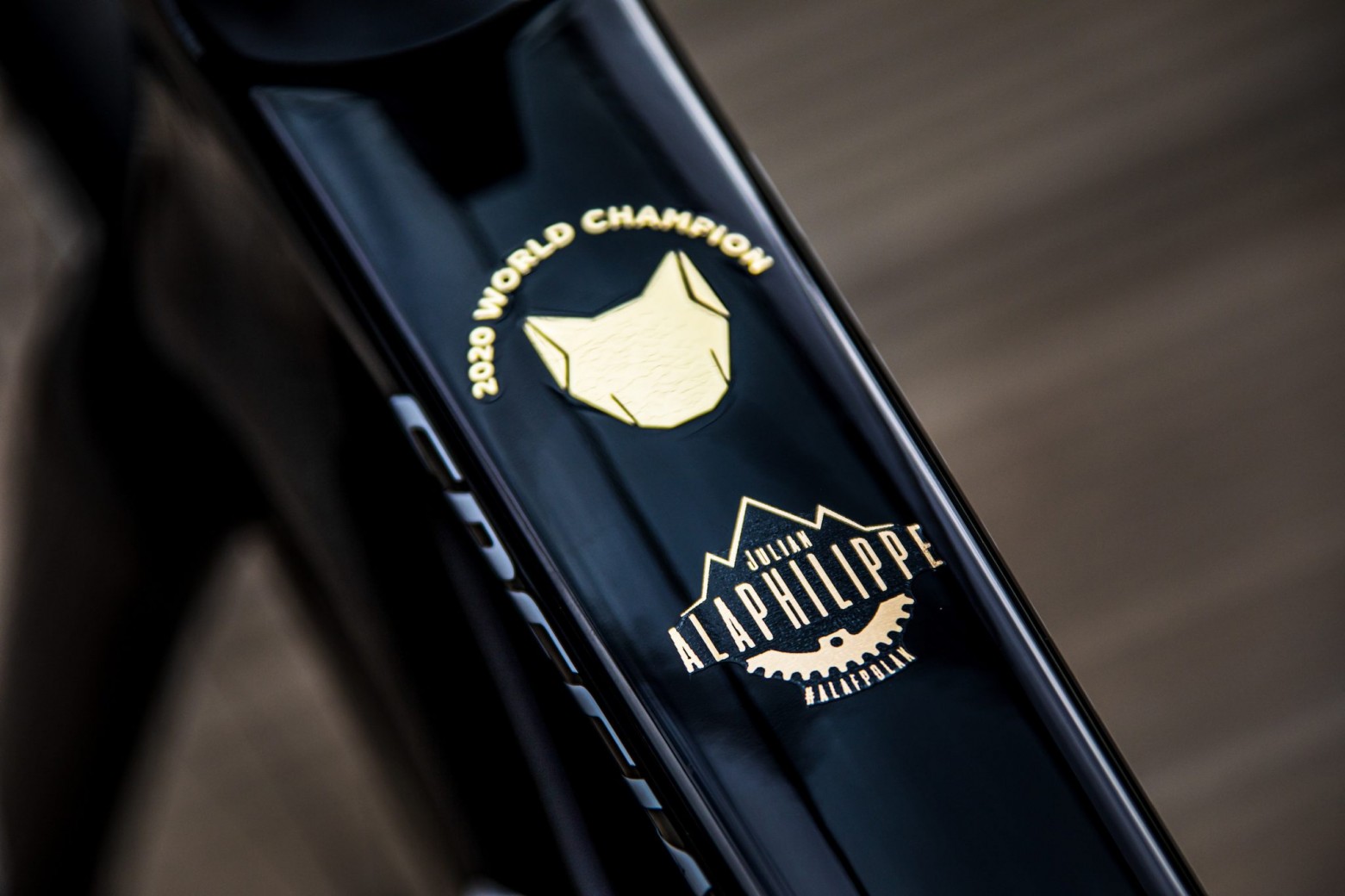 specialized-tarmac-sl7-alaphilippe/