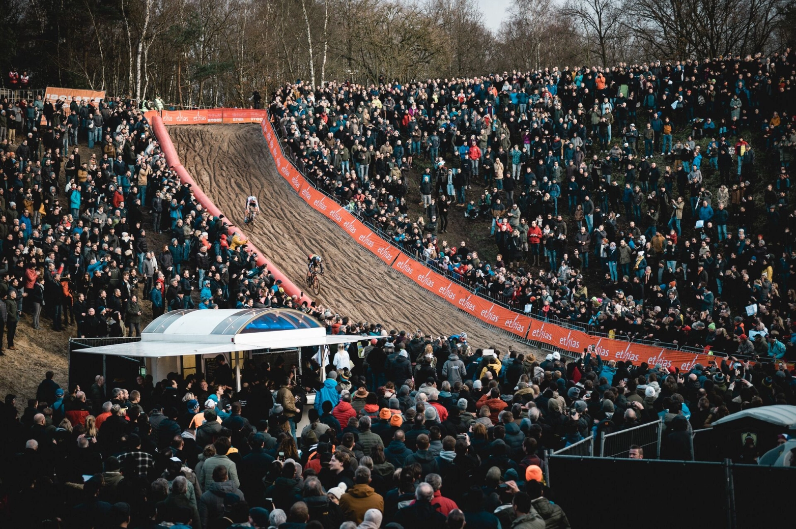 Van der Poel makes his debut today in the CX Zonhoven World Cup