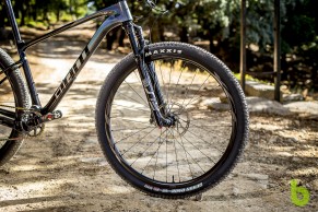 We tested the Giant XTC Advanced SL 29, a hardtail with a lot of character