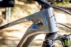 We tested the Giant XTC Advanced SL 29, a hardtail with a lot of character