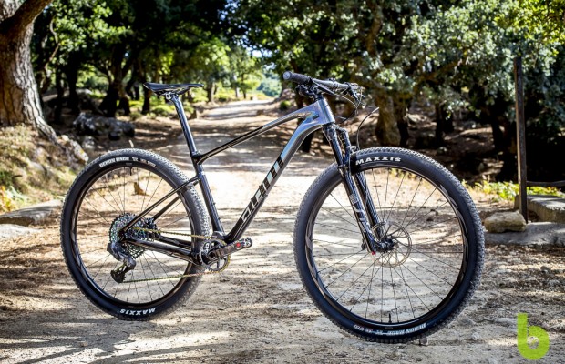 Menagerry meloen Banyan We tested the Giant XTC Advanced SL 29, a hardtail with a lot of character