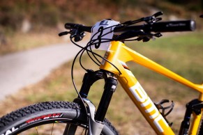 The BMC Fourstroke World Champion edition of Sarrou in detail