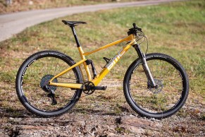 The BMC Fourstroke World Champion edition of Sarrou in detail