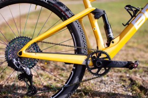 The BMC Fourstroke World Champion edition of Sarrou in detail