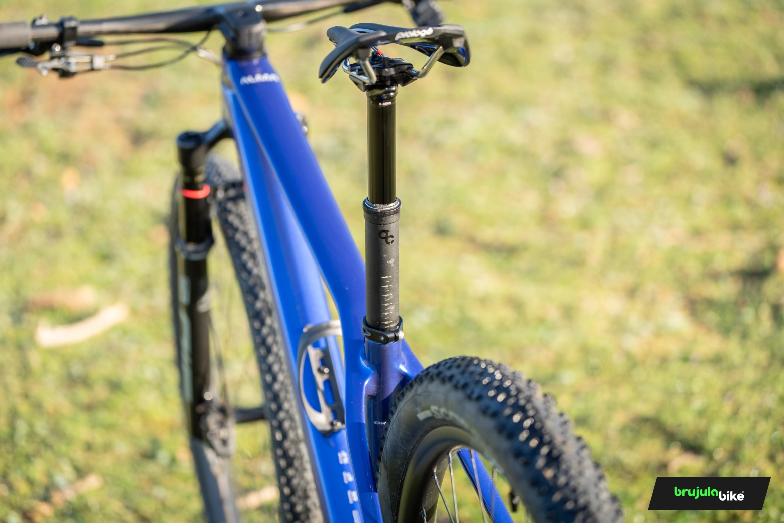 We tested the Orbea Alma 2025. Does the X-Fader really work?