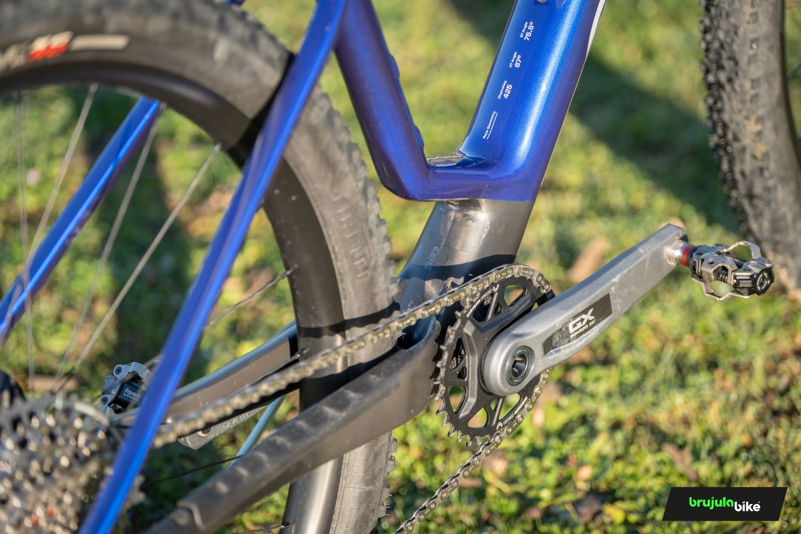 We tested the Orbea Alma 2025. Does the X-Fader really work?