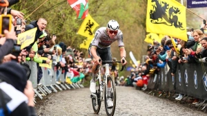 What races will Van Aert and Van der Poel do before Flanders and Roubaix?