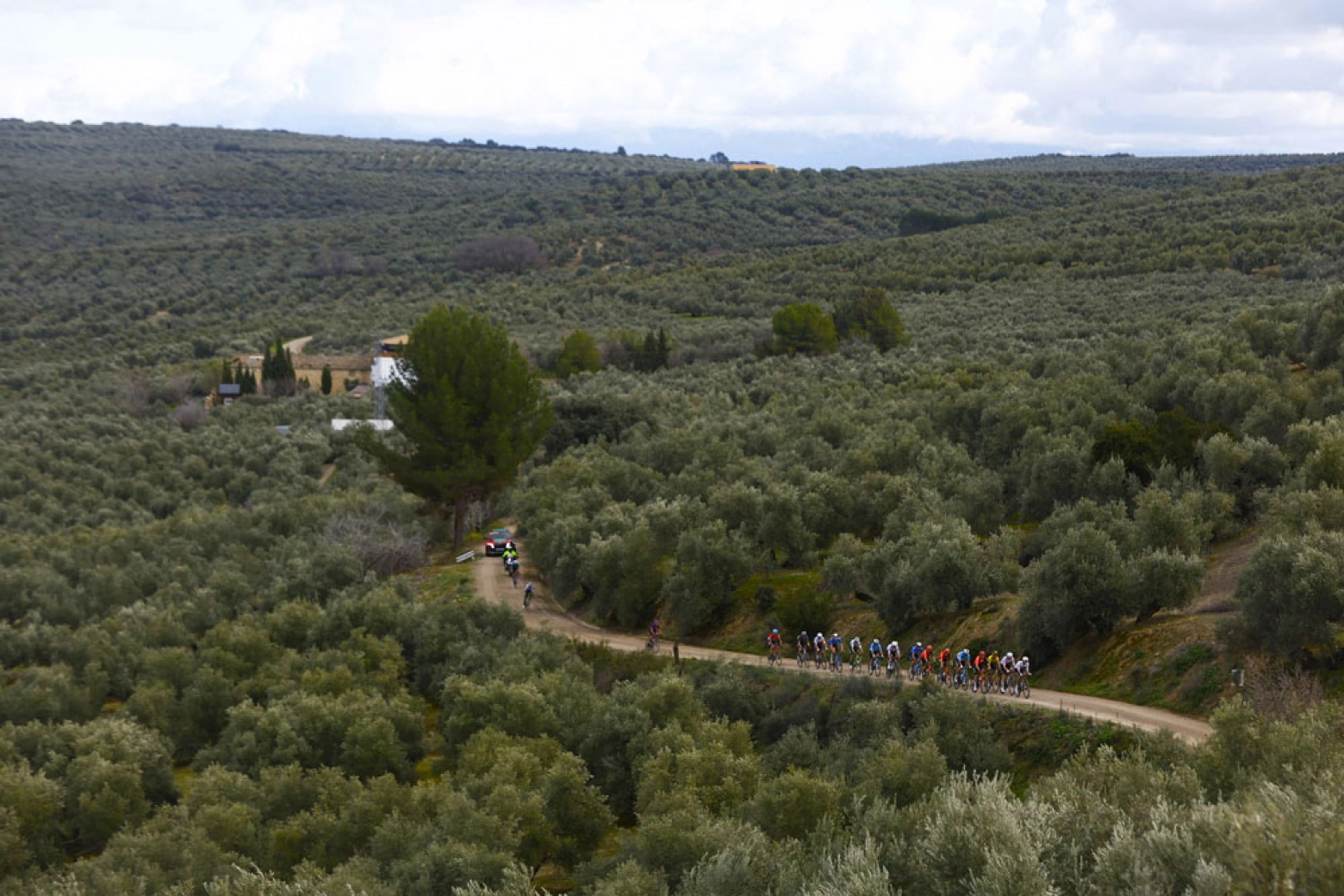 Van Aert makes his debut in the Clásica Jaén Paraíso Interior: how to watch live