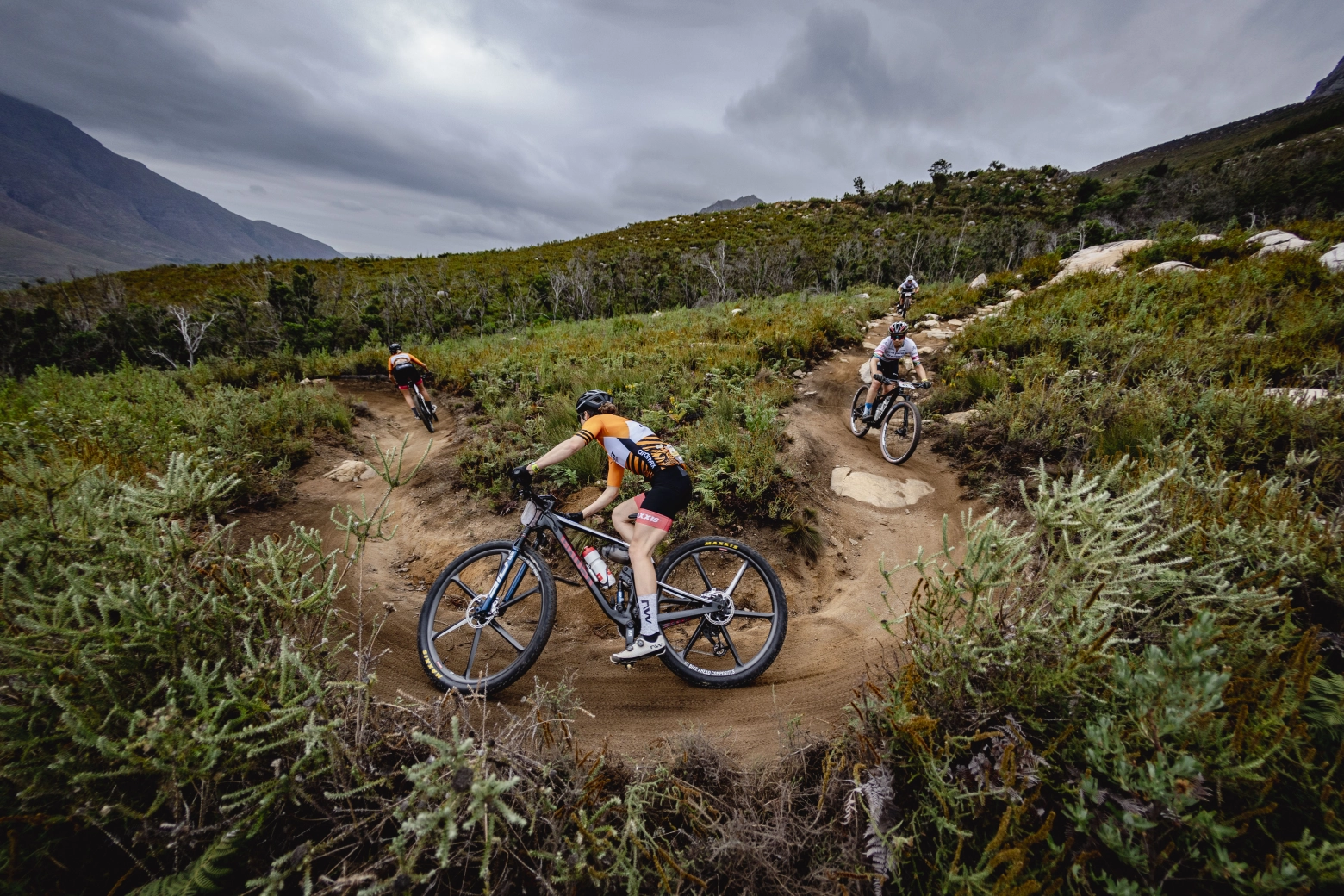 Regardez le Grand Finale de l'Absa Cape Epic 2025 en direct et gratuitement
