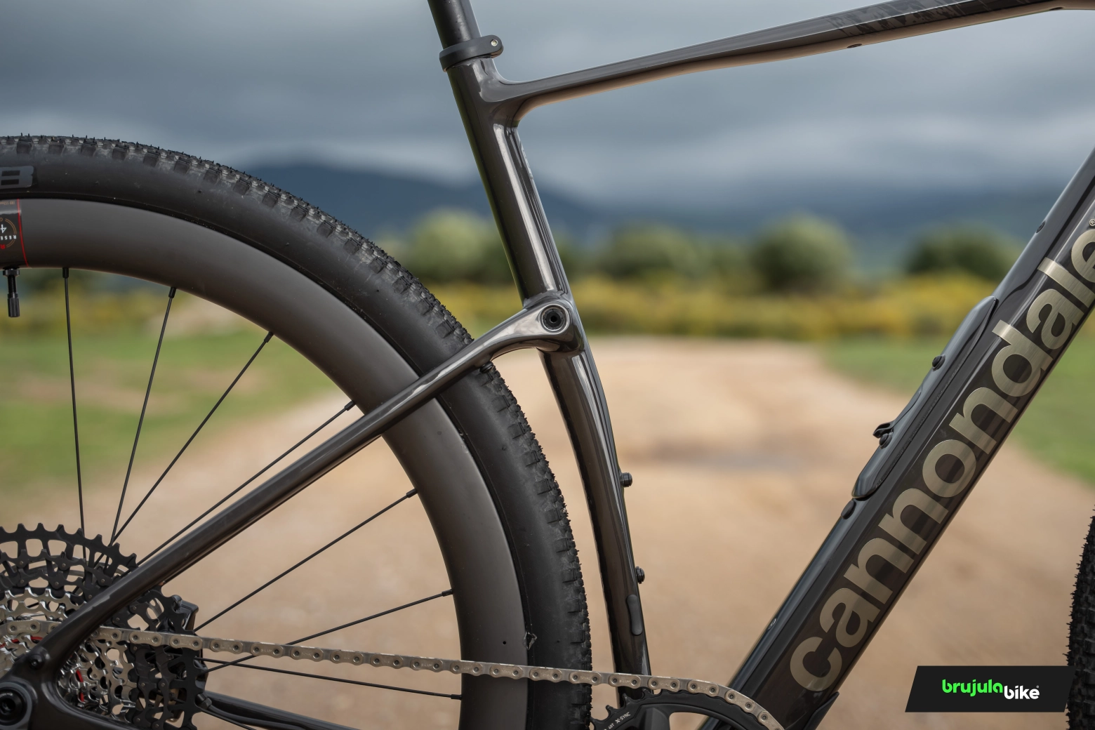 We tested the new Cannondale Topstone Carbon 2025: the gravel bike that doesn't give up anything