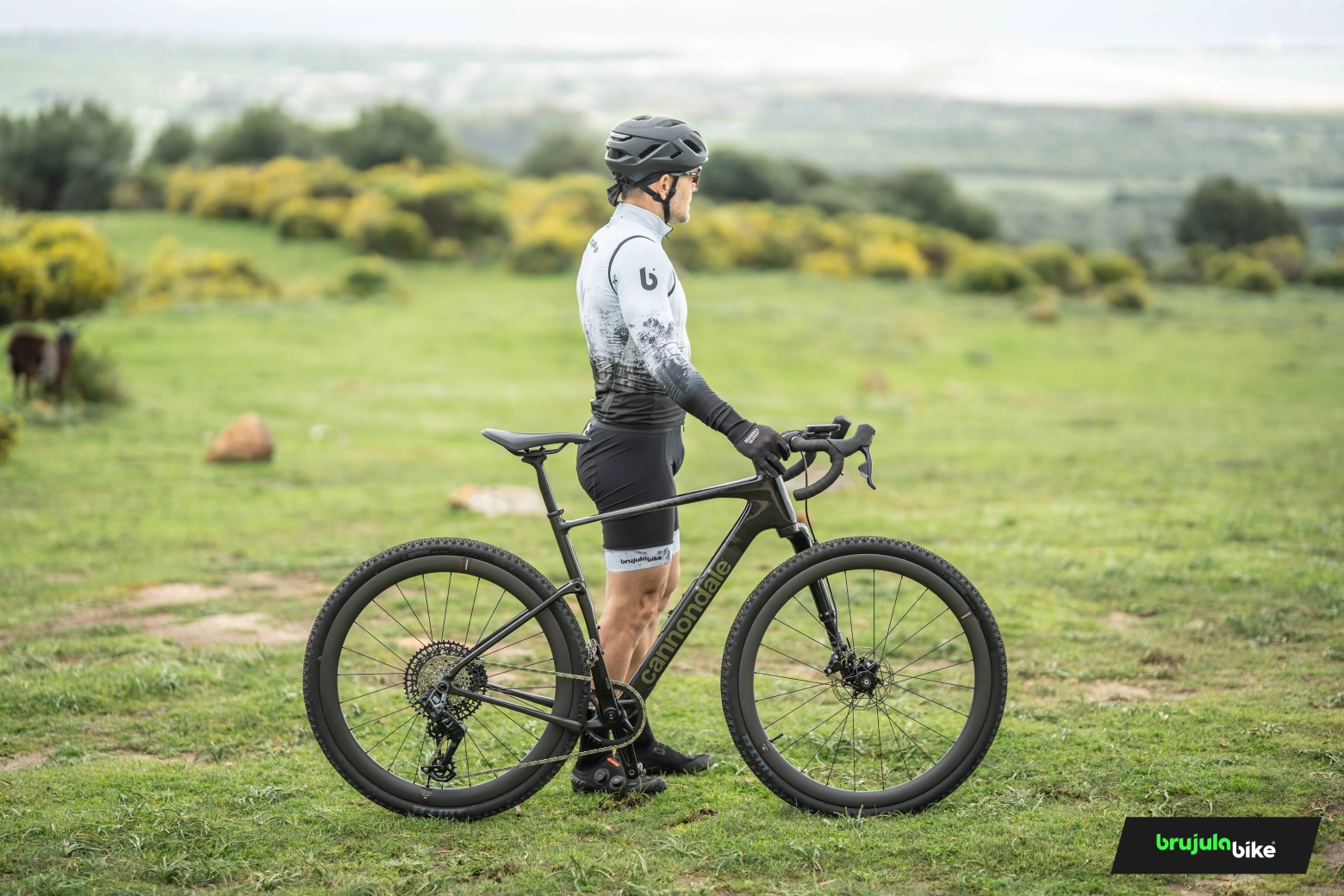 We tested the new Cannondale Topstone Carbon 2025: the gravel bike that doesn't give up anything