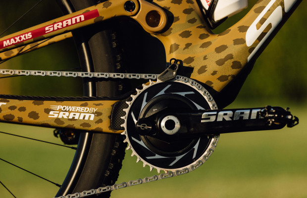 Le SCOTT SPARK de Nino Schurter se pare de léopard pour la Cape Epic 2025