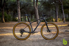 Scott Scale 940: rendimiento élite a un precio contenido