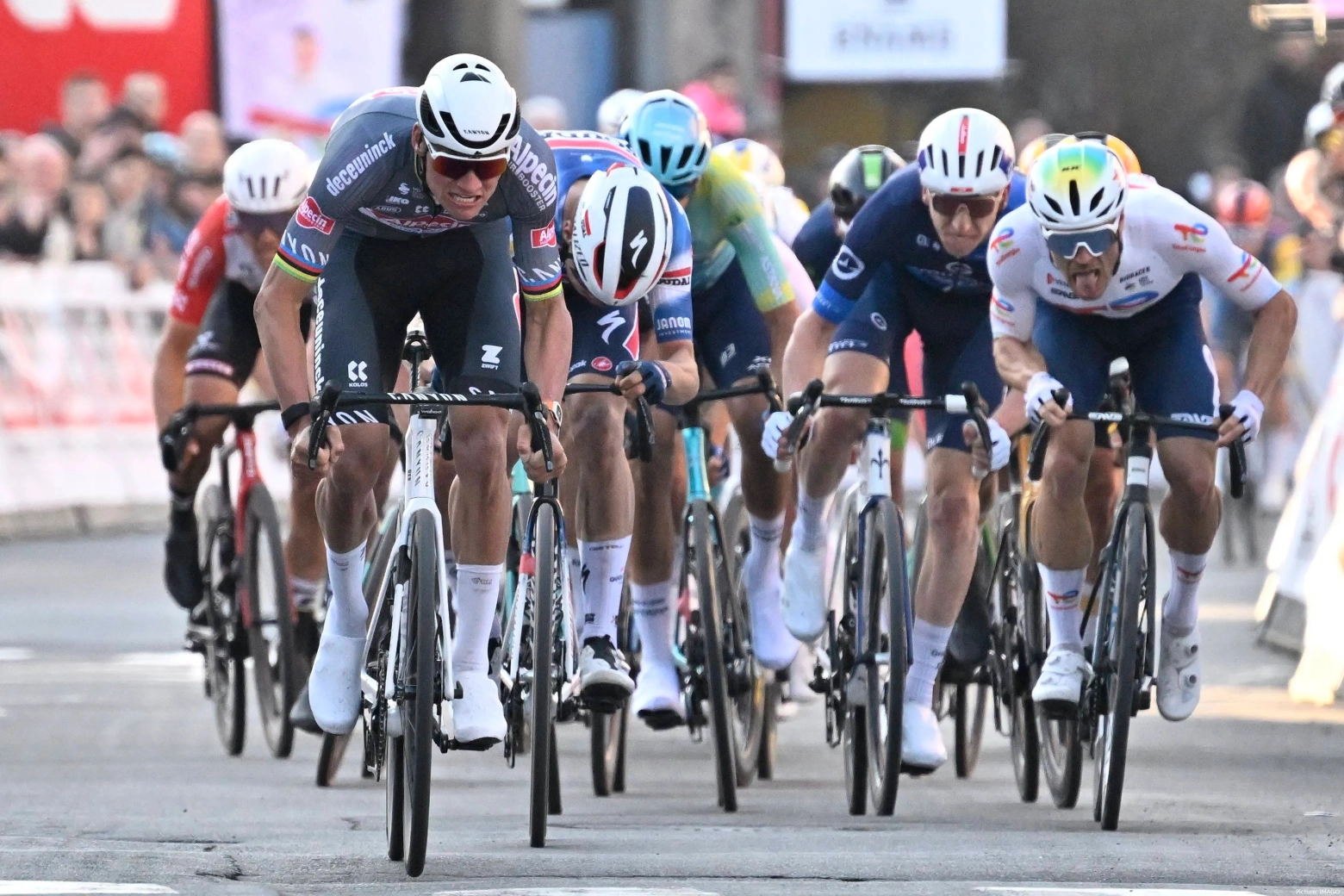 Van der Poel before Milan San Remo: "I have to be at 110% to beat Pogacar"