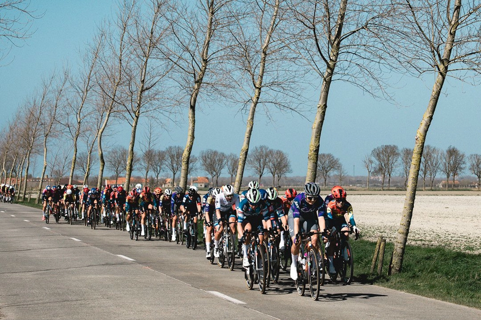 Mads Pedersen repeats victory in the Gent-Wevelgem 2025