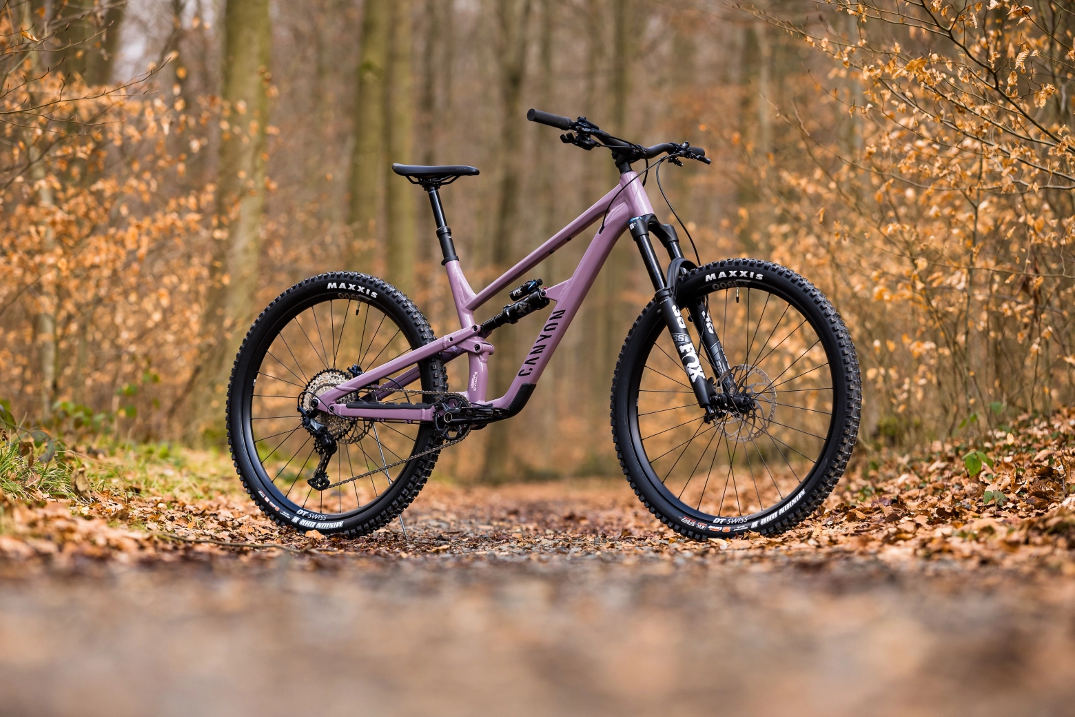 New Spectral AL Canyon: a durable, capable and affordable trail