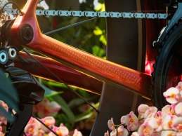 Trek adds "snake scales" to its exclusive Project One ICON Serpentine finish