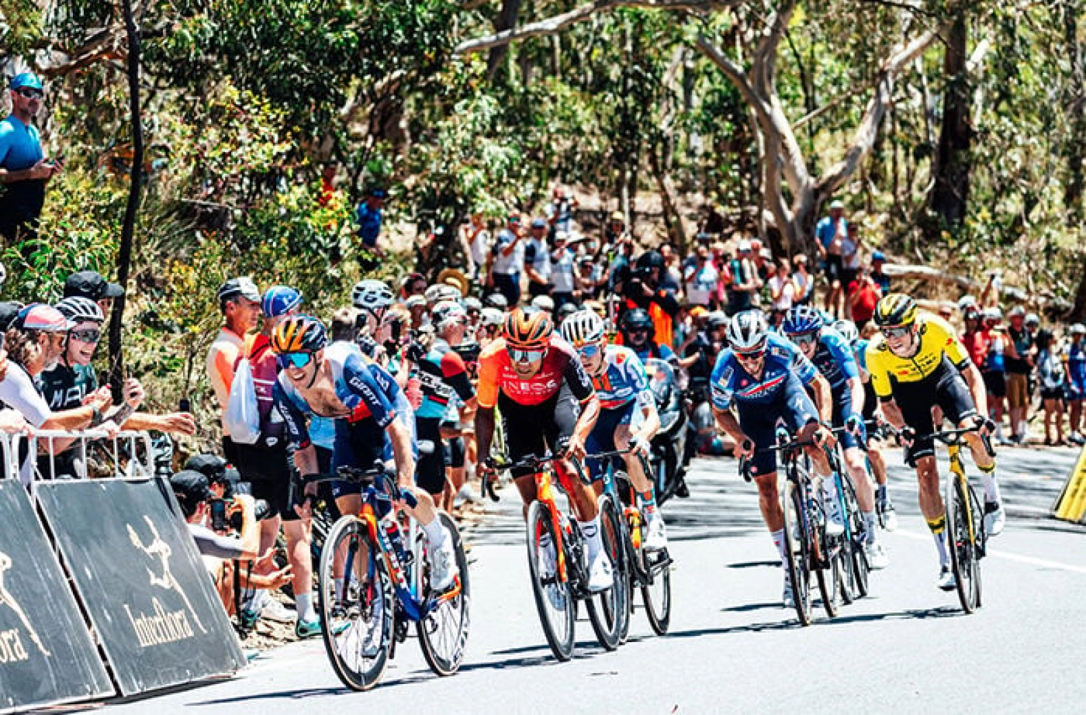 The Giro could start in Australia in 2027
