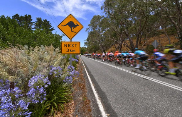 The Giro could start in Australia in 2027