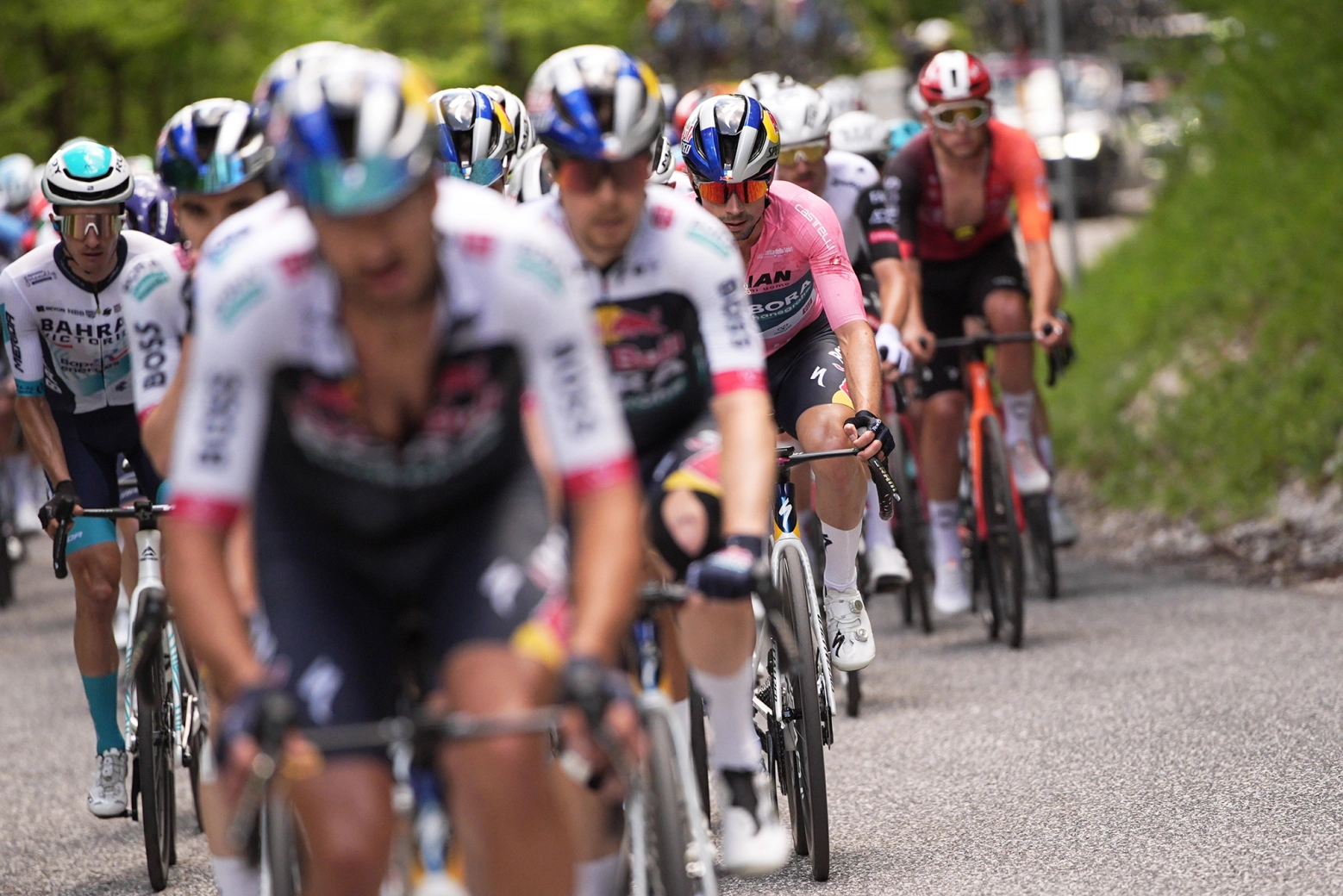 Luke Plapp completes the breakaway in the eighth stage of the Giro d'Italia. Ulissi is the new leader